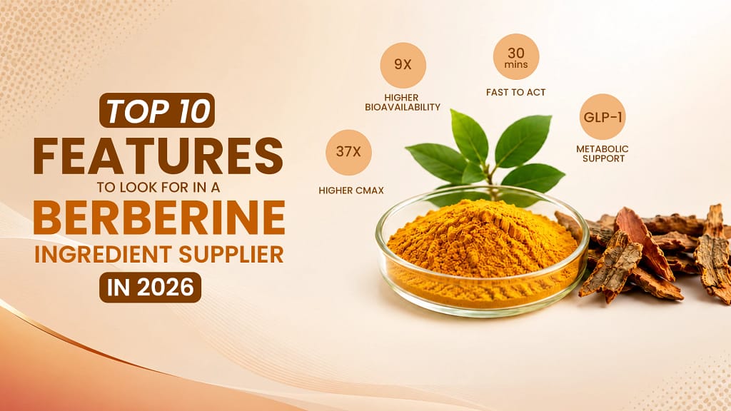 Top 10 Features to Look for in a Berberine Ingredient Supplier in 2026_zeushygia